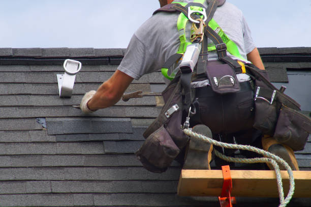 Best Residential Vinyl Siding Installation  in Stoughton, WI