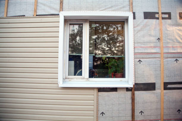 Best Fascia and Soffit Installation  in Stoughton, WI