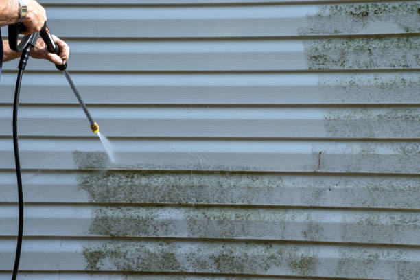 Best Brick Veneer Siding  in Stoughton, WI