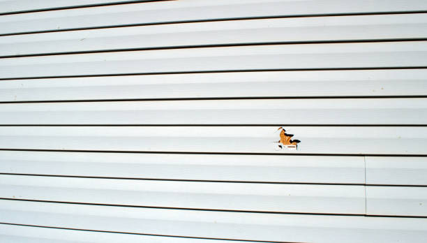 Best Residential Vinyl Siding Installation  in Stoughton, WI